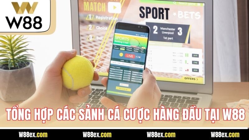 Tổng hợp các sảnh cá cược hàng đầu tại W88